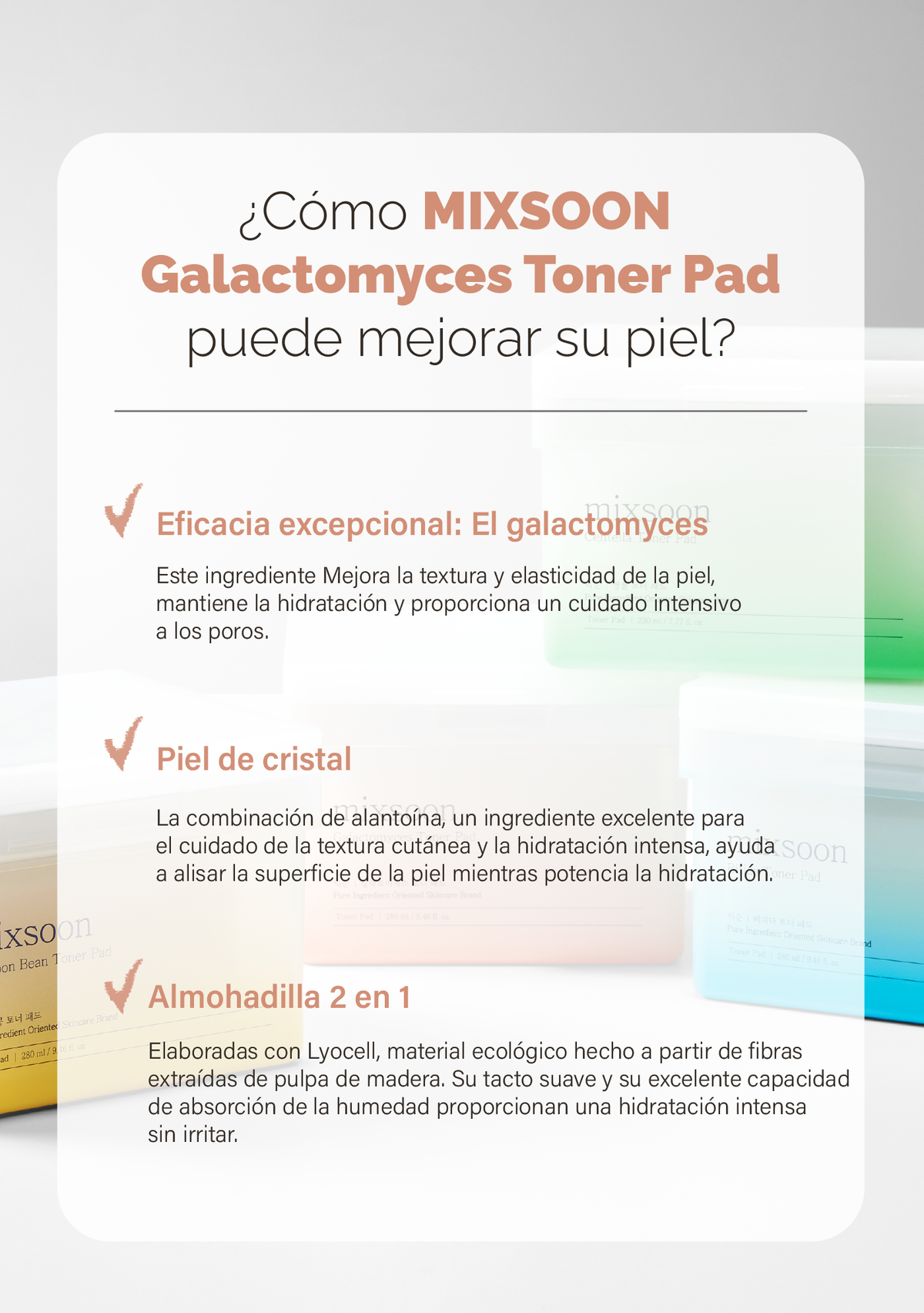 Galactomyces Toner Pad MIXSOON