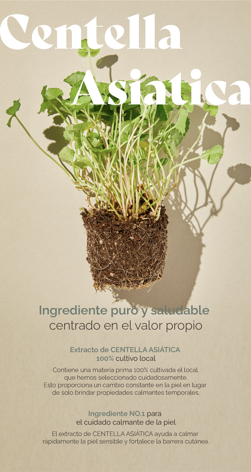 mixsoon Centella Asiatica Essence Mini 20ml MIXSOON