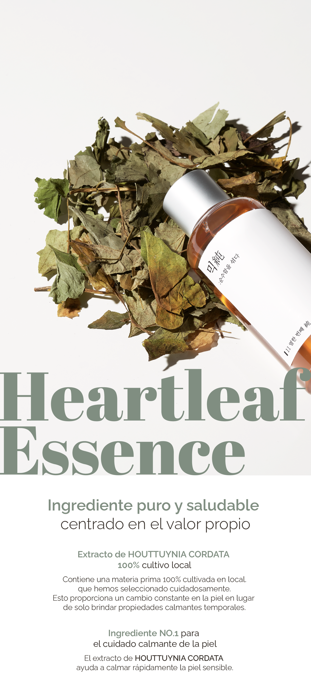 MIXSOON Heartleaf Essence MIXSOON