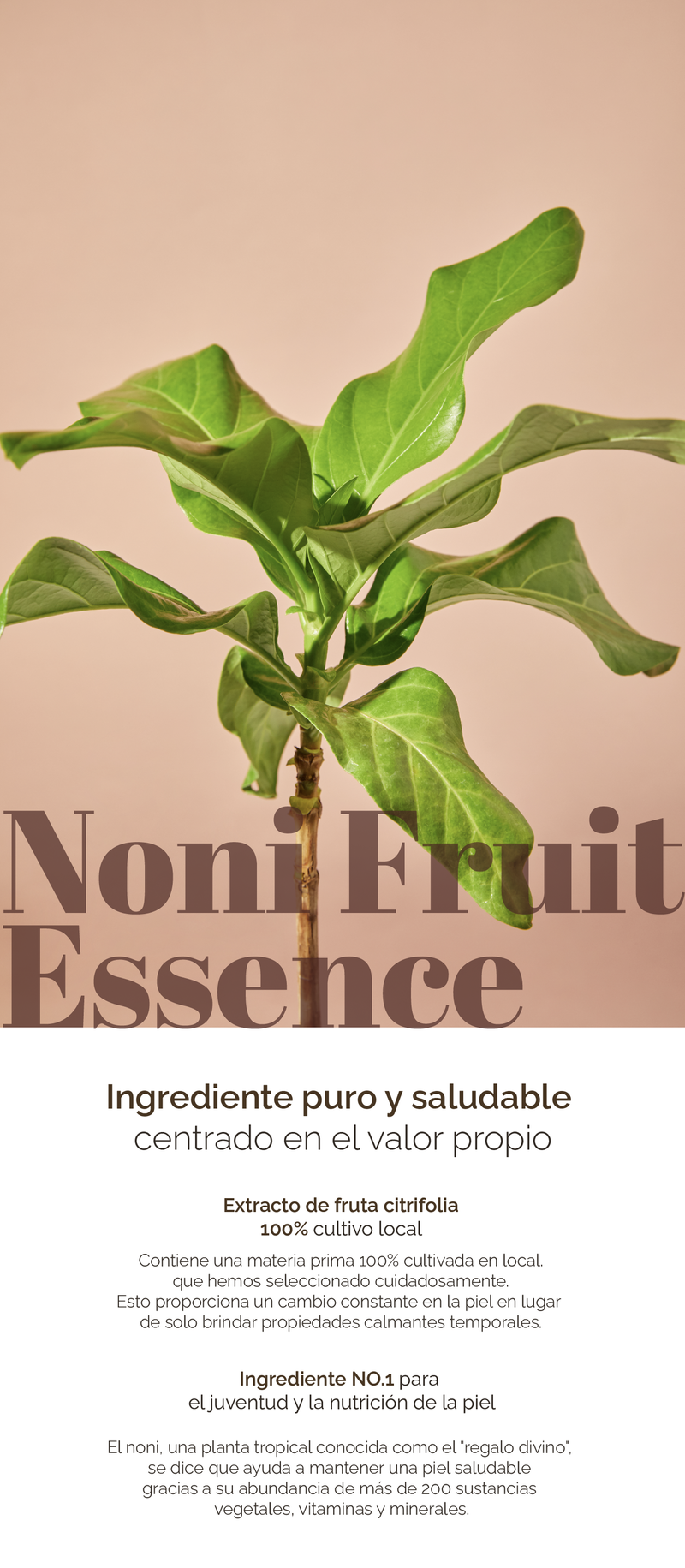 MIXSOON Noni Fruit Essence MIXSOON